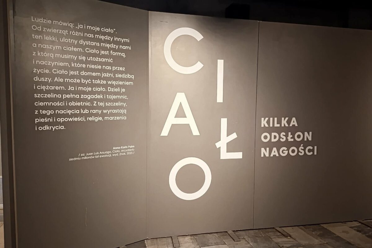 Ciało. Kilka odsłon nagości