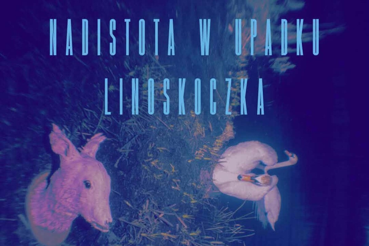 "Nadistota w upadku linoskoczka” — wystawa Olafa Trzewiczka