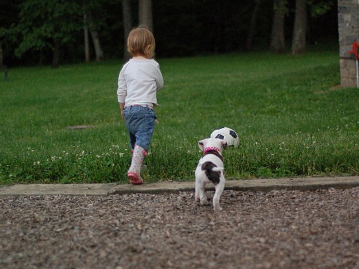 demografia Częstochowa