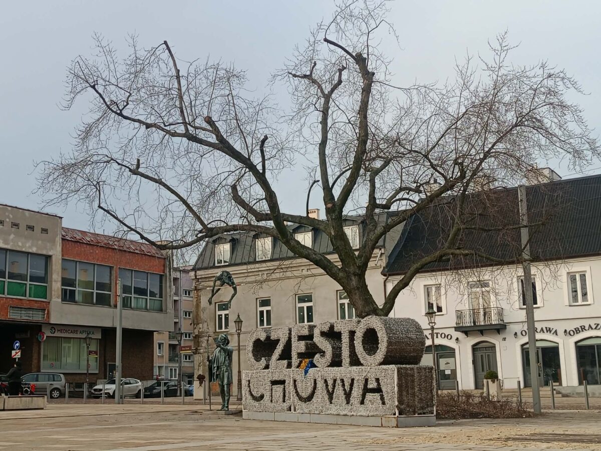 Jak dba się o pomniki przyrody i tereny zielone w Częstochowie?
